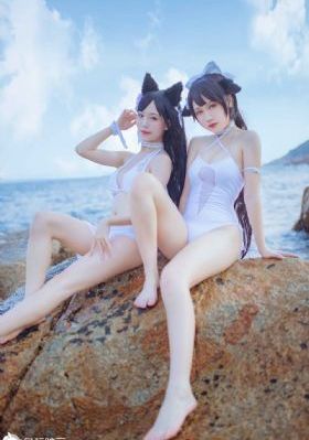 伦理视频网站